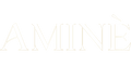 Amine logo