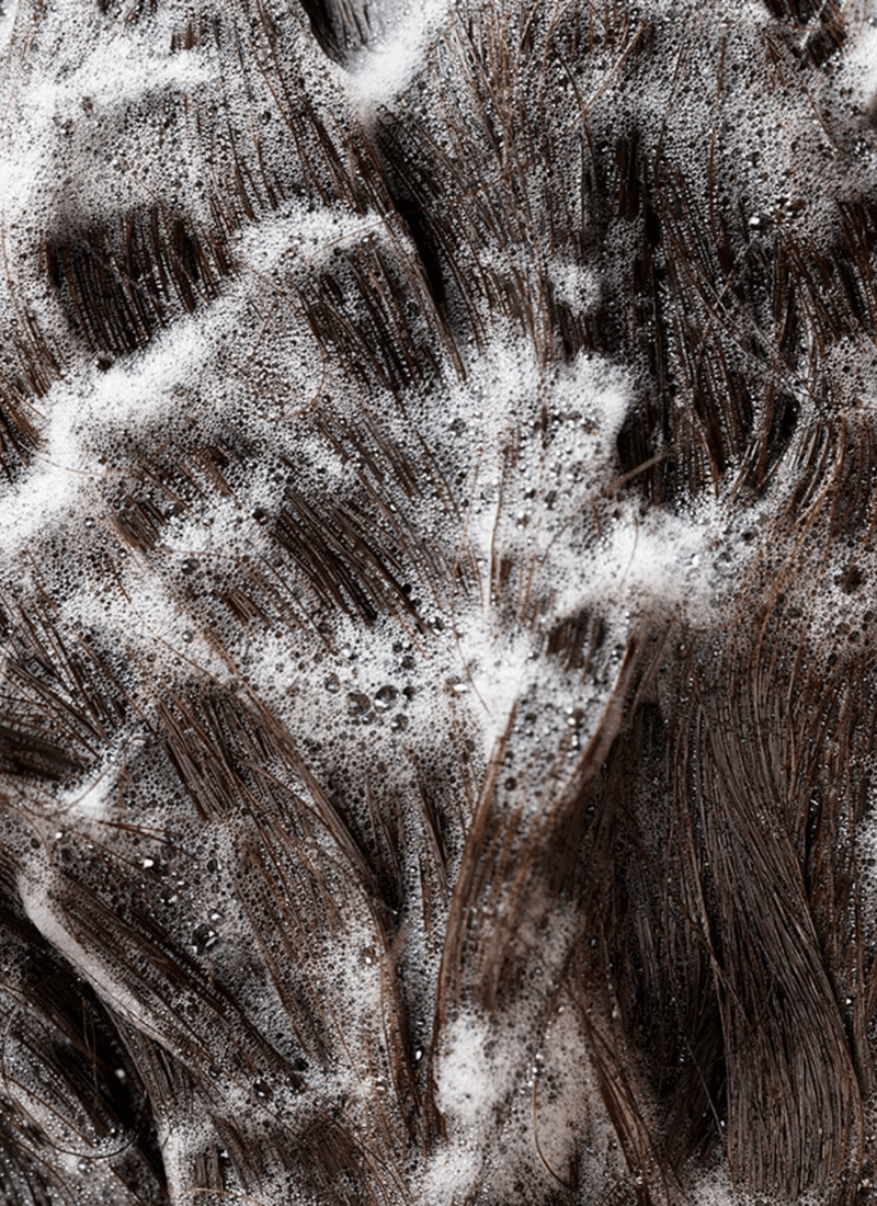 Plaukai su Oribe Signature Shampoo – švarūs, sudrėkinti ir blizgūs